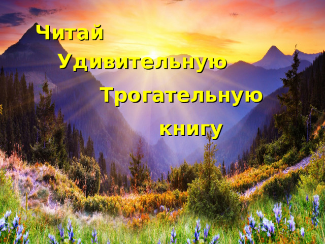 Читай Удивительную  Трогательную книгу 