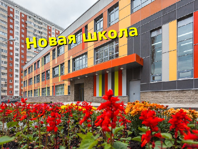 Новая школа 
