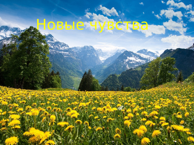 Новые чувства 