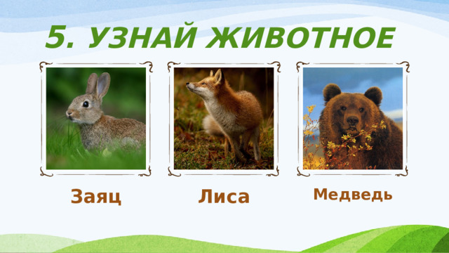 5 . УЗНАЙ ЖИВОТНОЕ Заяц Лиса Медведь 