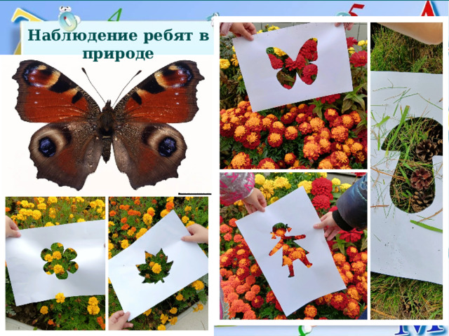Наблюдение ребят в природе 