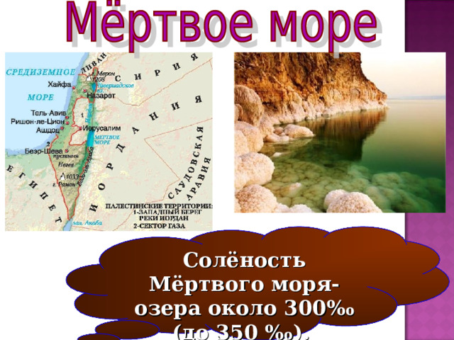 Солёность Мёртвого моря-озера около 300 ‰ (до 350 ‰). 