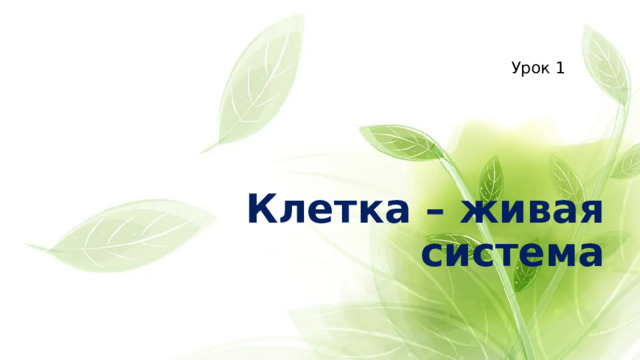 Урок 1 Клетка – живая система 