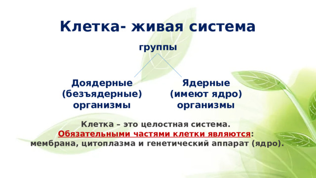 Клетка- живая система группы Доядерные Ядерные (безъядерные) (имеют ядро) организмы организмы Клетка – это целостная система. Обязательными частями клетки являются : мембрана, цитоплазма и генетический аппарат (ядро). 