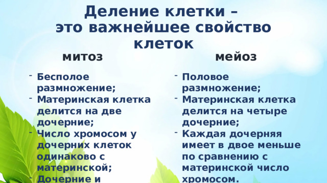 Деление клетки –  это важнейшее свойство клеток митоз мейоз Бесполое размножение; Материнская клетка делится на две дочерние; Число хромосом у дочерних клеток одинаково с материнской; Дочерние и материнские клетки одинаковы. Половое размножение; Материнская клетка делится на четыре дочерние; Каждая дочерняя имеет в двое меньше по сравнению с материнской число хромосом. 
