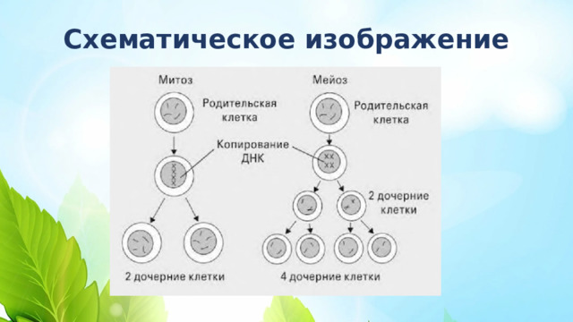 Схематическое изображение 