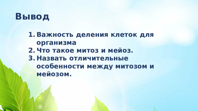 Вывод Важность деления клеток для организма Что такое митоз и мейоз. Назвать отличительные особенности между митозом и мейозом.  