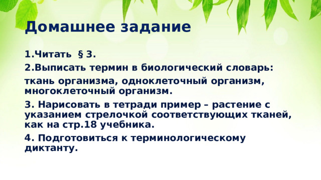 Домашнее задание Читать § 3. Выписать термин в биологический словарь: ткань организма, одноклеточный организм, многоклеточный организм. 3. Нарисовать в тетради пример – растение с указанием стрелочкой соответствующих тканей, как на стр.18 учебника. 4. Подготовиться к терминологическому диктанту.  