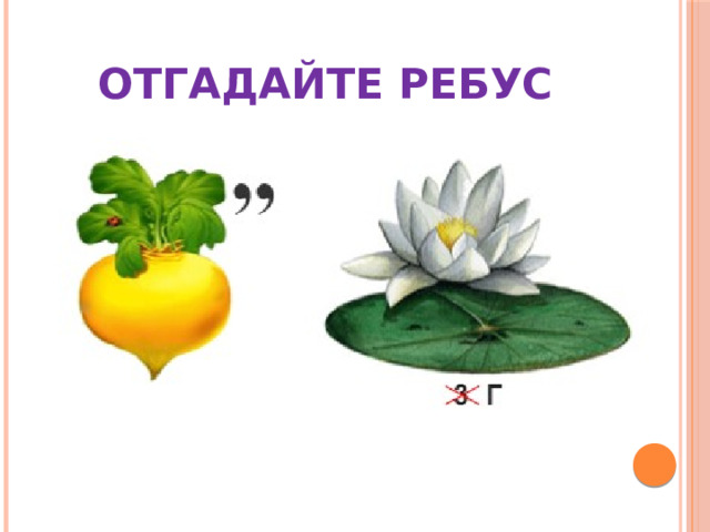 Отгадайте ребус 