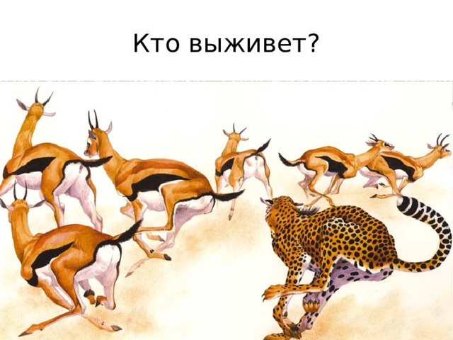 Кто выживет?  