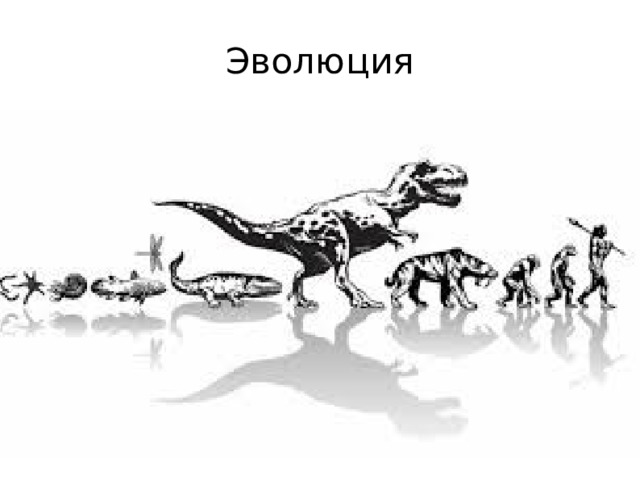 Эволюция  
