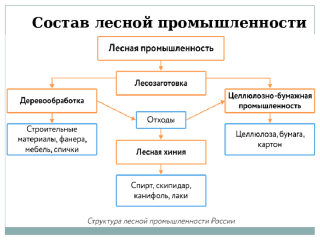 Состав лесной промышленности  
