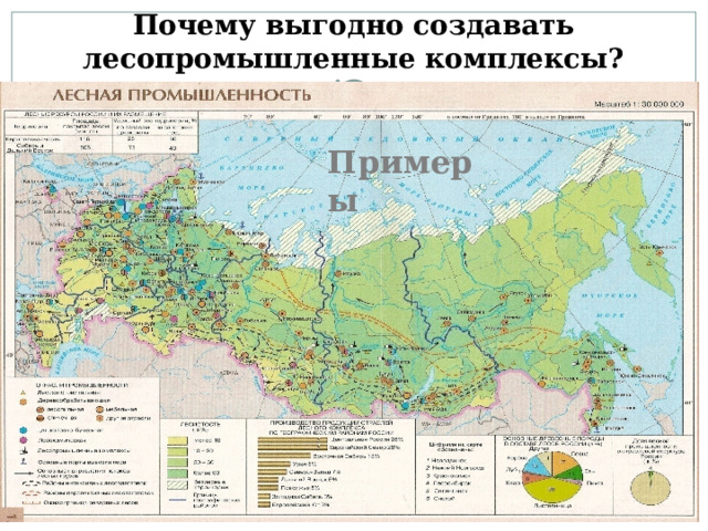 Почему выгодно создавать лесопромышленные комплексы? Примеры 