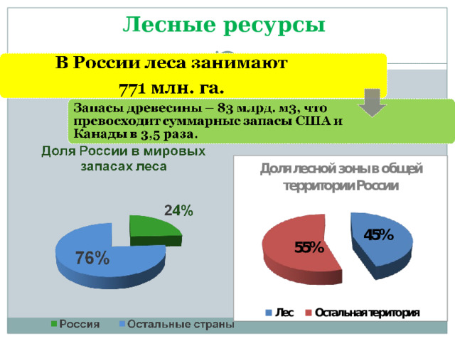 Лесные ресурсы 55% 45% 