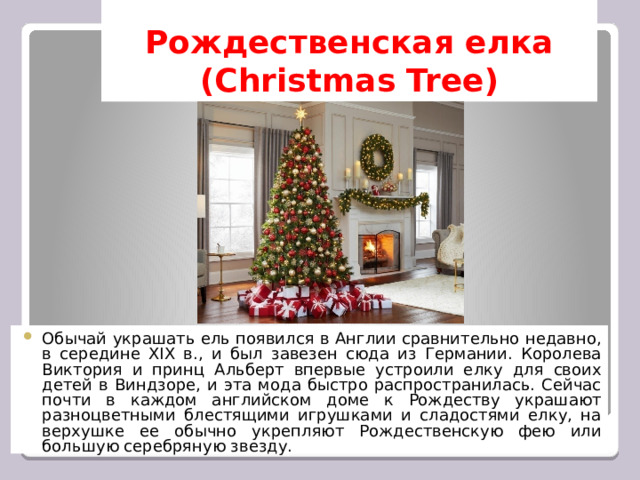 Рождественская елка  (Christmas Tree) Обычай украшать ель появился в Англии сравнительно недавно, в середине XIX в., и был завезен сюда из Германии. Королева Виктория и принц Альберт впервые устроили елку для своих детей в Виндзоре, и эта мода быстро распространилась. Сейчас почти в каждом английском доме к Рождеству украшают разноцветными блестящими игрушками и сладостями елку, на верхушке ее обычно укрепляют Рождественскую фею или большую серебряную звезду. 