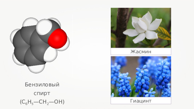 Жасмин Бензиловый спирт (С 6 Н 5 —CH 2 —OH ) Гиацинт 