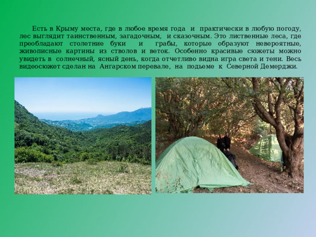  Есть в Крыму места, где в любое время года и практически в любую погоду, лес выглядит таинственным, загадочным, и сказочным. Это лиственные леса, где преобладают столетние буки и грабы, которые образуют невероятные, живописные картины из стволов и веток. Особенно красивые сюжеты можно увидеть в солнечный, ясный день, когда отчетливо видна игра света и тени. Весь видеосюжет сделан на Ангарском перевале, на подьеме к Северной Демерджи. 