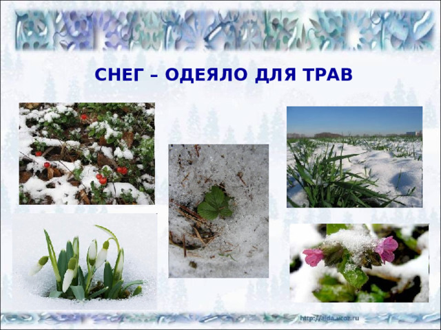 ЛИСТВЕННЫЕ ДЕРЕВЬЯ http://www.exaly.ru/displayimage.php? http://www.marshruty.ru/Photos/Photos.aspx?TravelID=d460c79f-0691-408e-8cff-15e1d0579618 http://www.bormotuhi.net/fleim/943-hochu-uvidet-34.html ДУБ БЕРЁЗА ТОПОЛЬ 