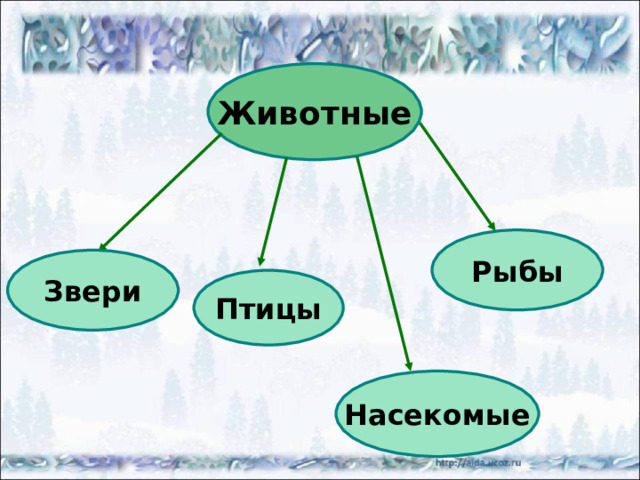 ОПРЕДЕЛЕНИЕ ДЕРЕВЬЕВ ЗИМОЙ 