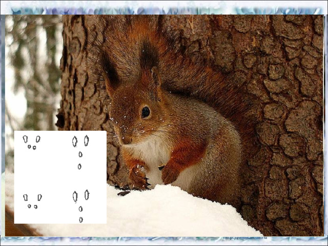 СНЕГ – ОДЕЯЛО ДЛЯ ТРАВ http://images.google.ru/imglanding?imgurl=http://img0.liveinternet.ru/images/attach/b/3//42/56/42056648_podsnezhniki.jpg&imgrefurl=http://www.liveinternet.ru/users/lina_ojasalu/post99815730/&usg=__HkT5N3xoielvTGOtNJNliWV3E4M%3D&h=400&w=600&sz=53&hl=ru&tbnid=7JnXDg3EYZxWzM:&tbnh=90&tbnw=135&prev=/images%3Fq%3D%25D0%25BF%25D0%25BE%25D0%25B4%25D1%2581%25D0%25BD%25D0%25B5%25D0%25B6%25D0%25BD%25D0%25B8%25D0%25BA%2B%2B%25D0%25BF%25D0%25BE%25D0%25B4%2B%25D1%2581%25D0%25BD%25D0%25B5%25D0%25B3%25D0%25BE%25D0%25BC%26gbv%3D2%26hl%3Dru%26sa%3DG%26newwindow%3D1&q=%D0%BF%D0%BE%D0%B4%D1%81%D0%BD%D0%B5%D0%B6%D0%BD%D0%B8%D0%BA++%D0%BF%D0%BE%D0%B4+%D1%81%D0%BD%D0%B5%D0%B3%D0%BE%D0%BC&gbv=2&sa=G&newwindow=1&start=14#start=18&imgurl=http://img0.liveinternet.ru/images/attach/b/3//42/56/42056648_podsnezhniki.jpg 