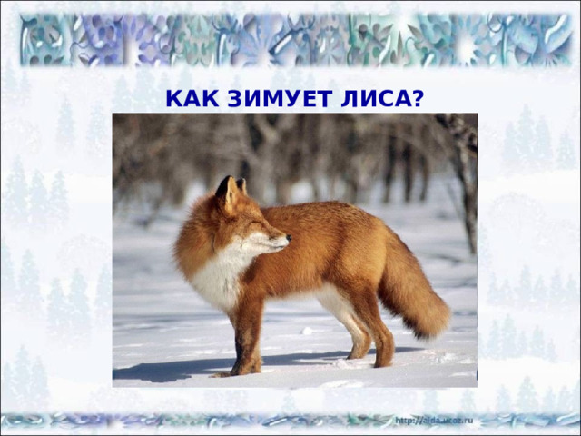 ФИЗМИНУТКА ДЛЯ ГЛАЗ http://images.google.ru/imglanding?imgurl=http://img0.liveinternet.ru/images/attach/c/0/37/56/37056157_los.jpg&imgrefurl=http://www.liveinternet.ru/showjournal.php%3Fjournalid%3D2520688%26tagid%3D103&usg=__g-y91z85_JcJSMoufGj05A6RXtE%3D&h=471&w=700&sz=97&hl=ru&tbnid=5UYHHOw6T19APM:&tbnh=94&tbnw=140&prev=/images%3Fq%3D%25D0%25BB%25D0%25BE%25D1%2581%25D1%258C%2B%25D0%25BD%25D0%25B0%2B%25D1%2581%25D0%25BD%25D0%25B5%25D0%25B3%25D1%2583%26gbv%3D2%26hl%3Dru%26sa%3DG%26newwindow%3D1&q=%D0%BB%D0%BE%D1%81%D1%8C+%D0%BD%D0%B0+%D1%81%D0%BD%D0%B5%D0%B3%D1%83&gbv=2&sa=G&newwindow=1&start=0 Все картинки скачаны из Интернета с сайтов свободного доступа 