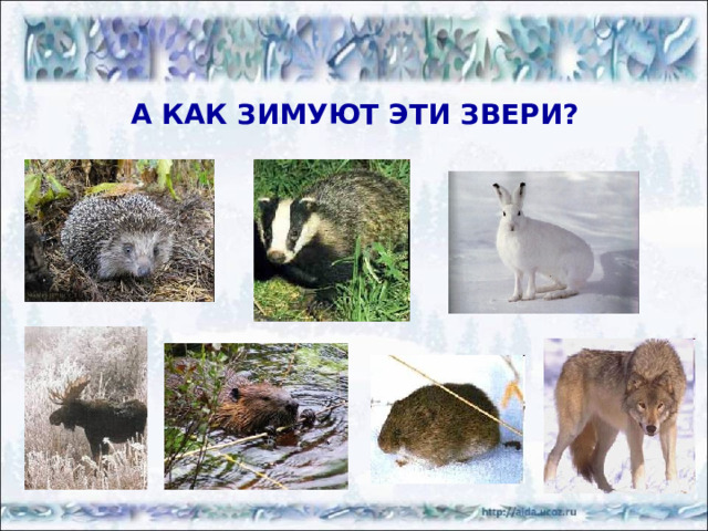 КАК ЗИМУЕТ ЛИСА? http://images.google.ru/imglanding?imgurl=http://www.proza.ru/pics/2009/03/16/286.jpg&imgrefurl=http://www.proza.ru/2009/03/16/286&usg=__EcqMbrVot3XEpMtQ5Msa-np5rZ8%3D&h=592&w=790&sz=71&hl=ru&tbnid=pF4tAq34hXqg3M:&tbnh=107&tbnw=143&prev=/images%3Fq%3D%25D0%25BB%25D0%25B8%25D1%2581%25D0%25B0%2B%2B%25D0%25B7%25D0%25B8%25D0%25BC%25D0%25BE%25D0%25B9%26gbv%3D2%26hl%3Dru%26sa%3DG%26newwindow%3D1&q=%D0%BB%D0%B8%D1%81%D0%B0++%D0%B7%D0%B8%D0%BC%D0%BE%D0%B9&gbv=2&sa=G&newwindow=1&start=4 