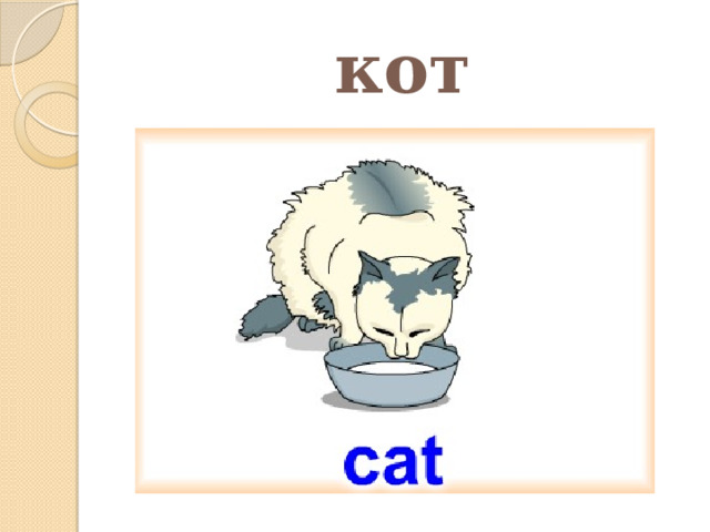кот 