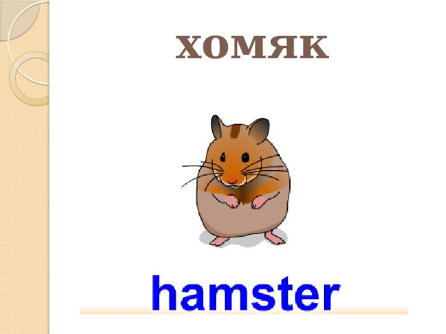 хомяк 