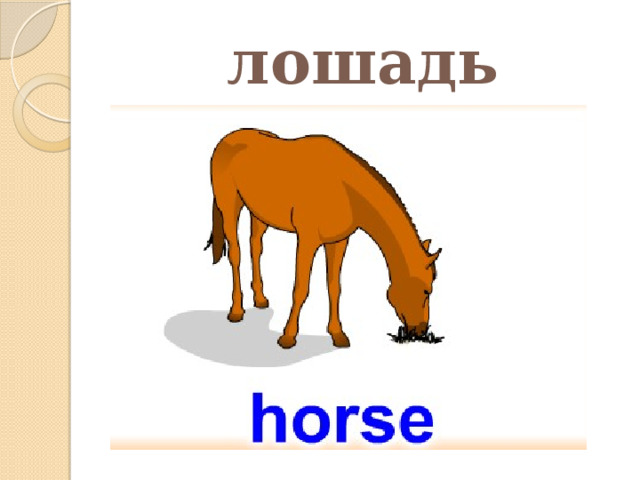 лошадь 