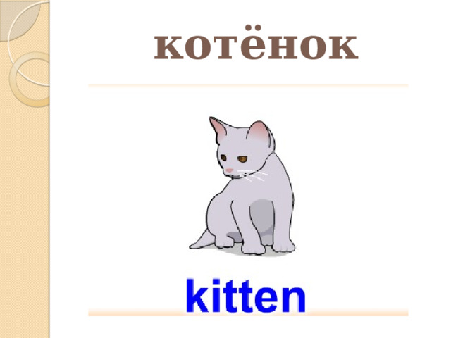 котёнок 