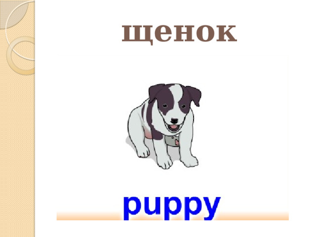 щенок 