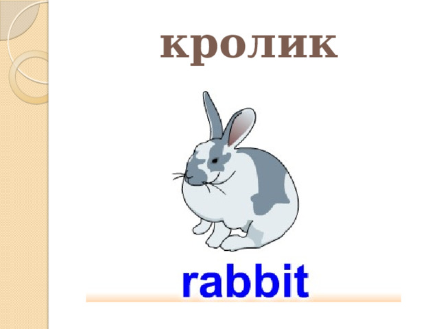 кролик 