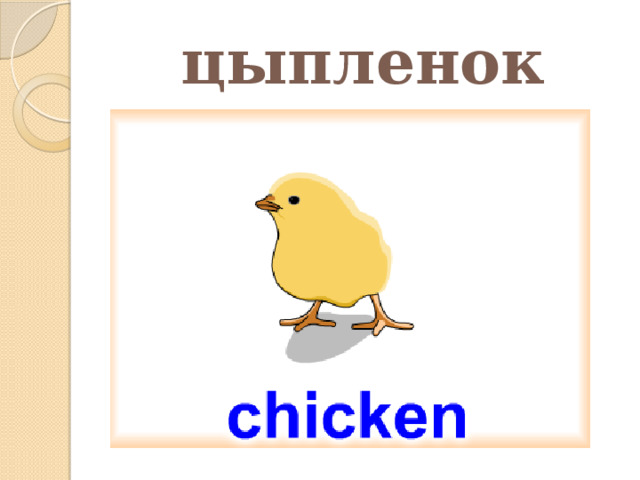 цыпленок 