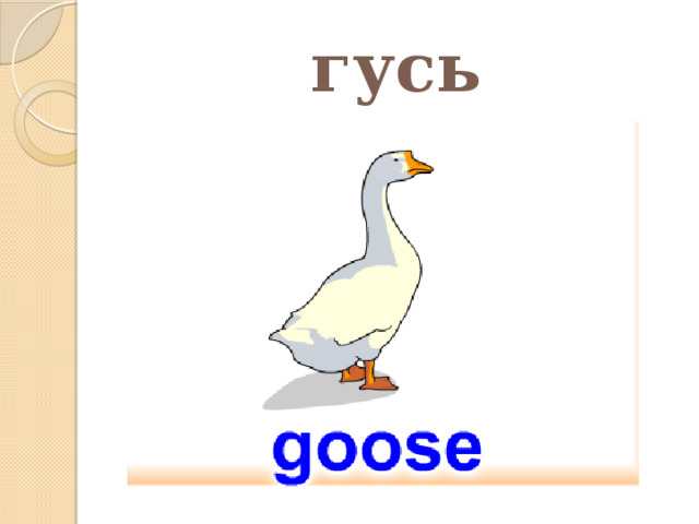 гусь 