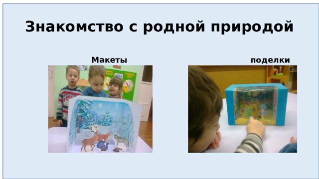 Знакомство с родной природой  Макеты  поделки 