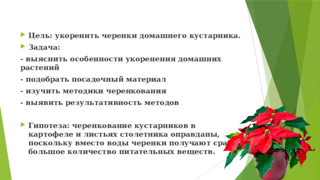 Цель: укоренить черенки домашнего кустарника. Задача: - выяснить особенности укоренения домашних растений - подобрать посадочный материал - изучить методики черенкования - выявить результативность методов  Гипотеза: черенкование кустарников в картофеле и листьях столетника оправданы, поскольку вместо воды черенки получают сразу большое количество питательных веществ. 