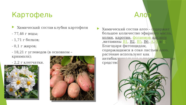 Картофель Алоэ Химический состав клубня картофеля - 77,46 г воды; - 1,71 г белков; - 0,1 г жиров; - 18,21 г углеводов (в основном – крахмала); - 2,2 г клетчатки. Химический состав алоэ – содержит большое количество эфирного масла,  холин ,  каротин ,  фолиевую кислоту ,витамины  В1 ,  В2 ,  В5 ,  В6 ,  А ,  С  и  Е . Благодаря фитонцидам, содержащимся в соке листьев алоэ, растение используют как антибактериальное и противовирусное средство 