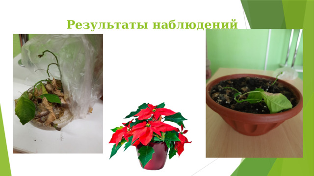 Результаты наблюдений 