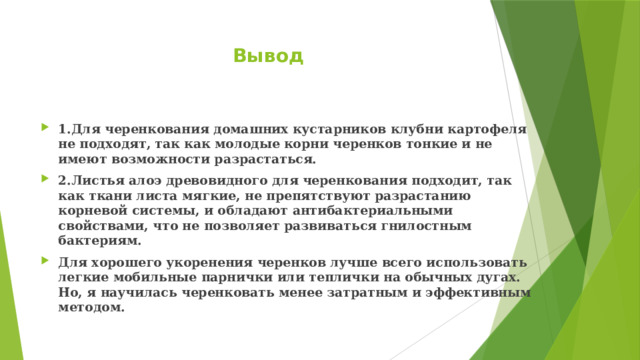  Вывод   1.Для черенкования домашних кустарников клубни картофеля не подходят, так как молодые корни черенков тонкие и не имеют возможности разрастаться. 2.Листья алоэ древовидного для черенкования подходит, так как ткани листа мягкие, не препятствуют разрастанию корневой системы, и обладают антибактериальными свойствами, что не позволяет развиваться гнилостным бактериям. Для хорошего укоренения черенков лучше всего использовать легкие мобильные парнички или теплички на обычных дугах. Но, я научилась черенковать менее затратным и эффективным методом. 