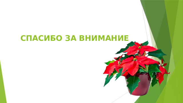 СПАСИБО ЗА ВНИМАНИЕ 