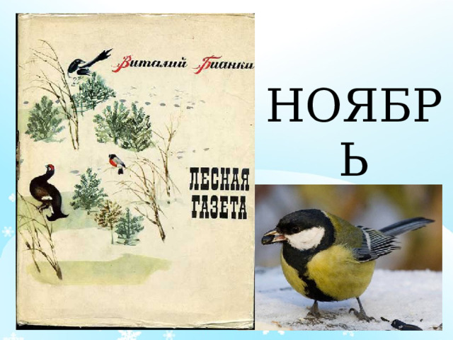 НОЯБРЬ 