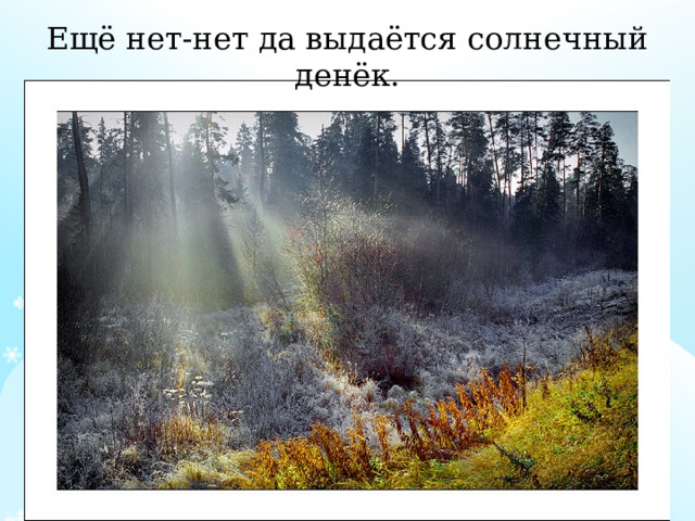 Ещё нет-нет да выдаётся солнечный денёк. 