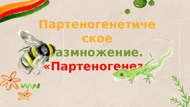 Партеногенетическое  размножение.   «Партеногенез» 