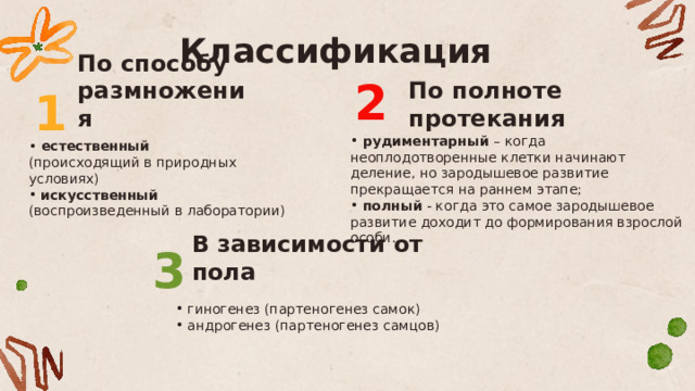 Классификация По способу размножения По полноте протекания 2 1  рудиментарный – когда неоплодотворенные клетки начинают деление, но зародышевое развитие прекращается на раннем этапе;  полный - когда это самое зародышевое развитие доходит до формирования взрослой особи.  естественный (происходящий в природных условиях)  искусственный (воспроизведенный в лаборатории) В зависимости от пола 3  гиногенез (партеногенез самок)  андрогенез (партеногенез самцов) 