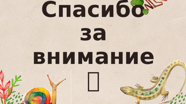 Спасибо за внимание  
