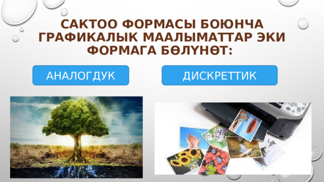 САКТОО ФОРМАСЫ БОЮНЧА ГРАФИКАЛЫК МААЛЫМАТТАР эки ФОРМАГА БӨЛҮНӨТ: АНАЛОГДУК ДИСКРЕТТИК 