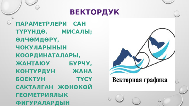 ВЕКТОРДУК ПАРАМЕТРЛЕРИ САН ТҮРҮНДӨ. МИСАЛЫ; ӨЛЧӨМДӨРҮ, ЧОКУЛАРЫНЫН КООРДИНАТАЛАРЫ, ЖАНТАЮУ БУРЧУ, КОНТУРДУН ЖАНА БОЕКТУН ТҮСҮ САКТАЛГАН ЖӨНӨКӨЙ ГЕОМЕТРИЯЛЫК ФИГУРАЛАРДЫН ТОПТОМУ ТҮРҮНДӨ КОДДОЛГОН СҮРӨТТӨЛҮШТӨР. 