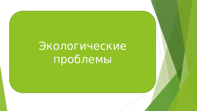 Экологические проблемы 
