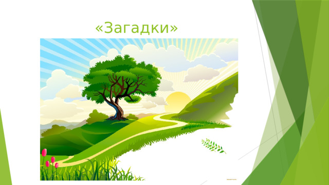  «Загадки» 