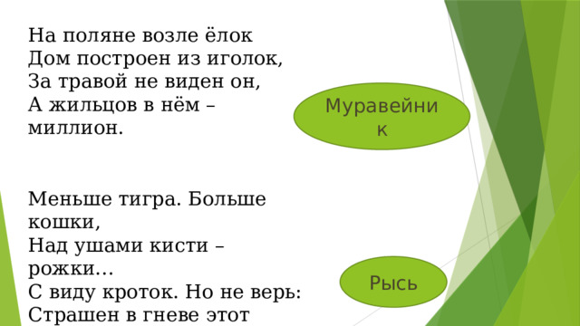 На поляне возле ёлок Дом построен из иголок, За травой не виден он, А жильцов в нём – миллион. Муравейник Меньше тигра. Больше кошки, Над ушами кисти – рожки… С виду кроток. Но не верь: Страшен в гневе этот зверь. Рысь 